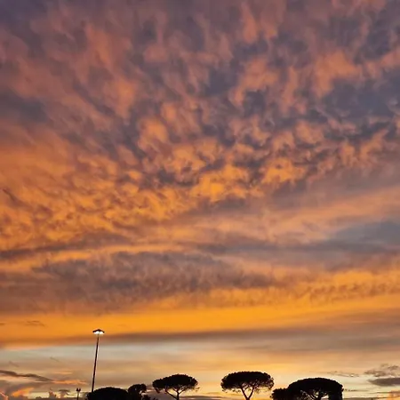 Tobe Plebiscito * Naples